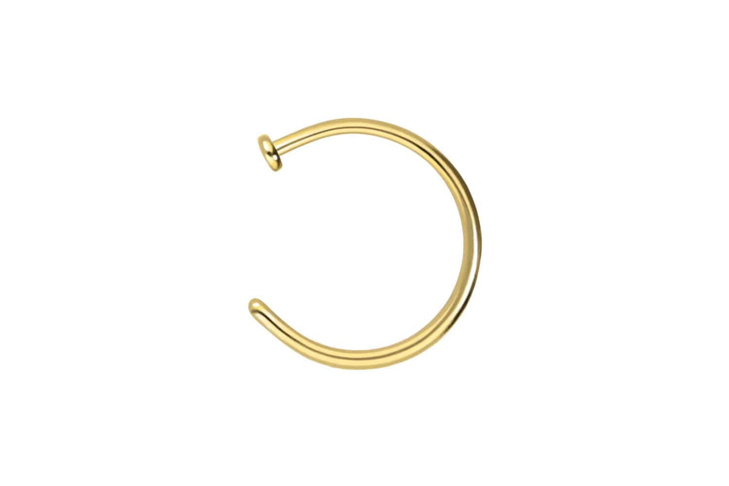 Titan Nasenring Nasenpiercing offen PLATTE